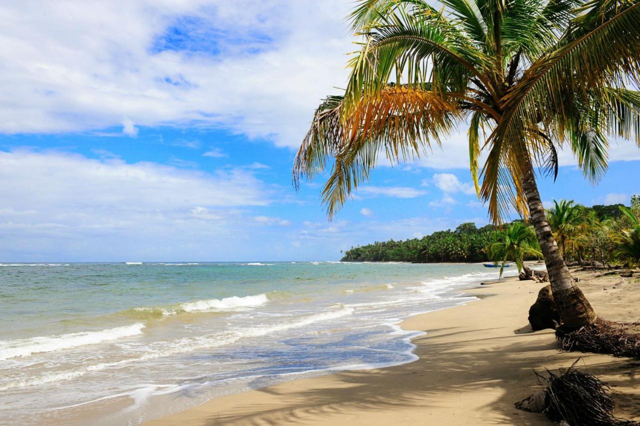 Loftscacao Apartments, Villas Cacao, Near To Playa Bonita Limon Luaran gambar